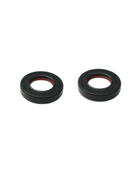 Juego retenes aceite / PTFE para cigüeñal para Derbi / Piaggio 50 cc Malossi 48x41x4