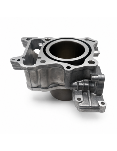CILINDRO BARIKIT Honda SH300i 2007-2020 / Forza 300 2013-2020 Ø72