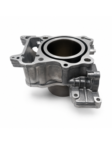 CILINDRO BARIKIT Honda SH300i 2007-2020 / Forza 300 2013-2020 Ø72