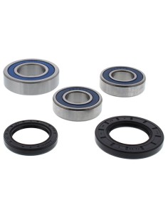 Kit de rodamientos rueda All Balls 25-1749