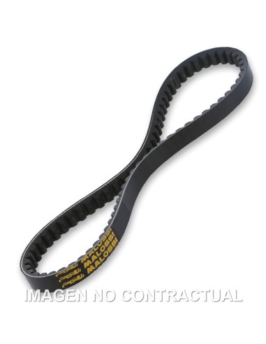 CORREA MALOSSI SPECIAL BELT PEUGEOT SP 103 50