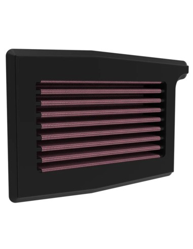 Filtro aire K&N Triumph Trident 660