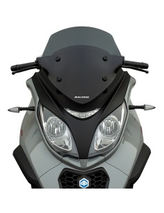 CUPULA MALOSSI SPORT SCREEN AHUMADO OSCURO PIAGGIO MP3 350 2