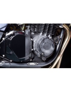 COLOUR REFRESHER S100 (300 ml.)  2