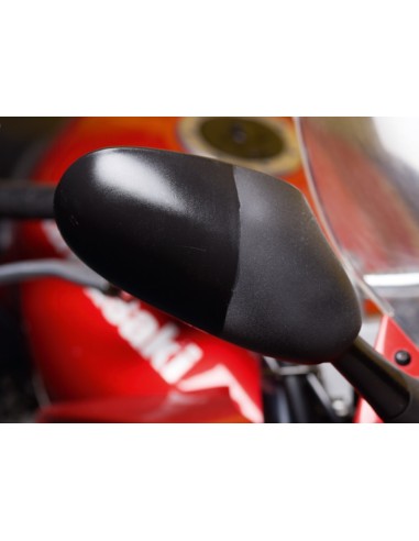 COLOUR REFRESHER S100 (300 ml.) 