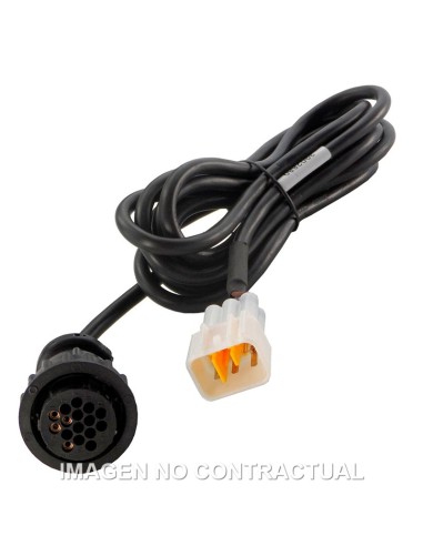 Cable diagnosis Texa 3151/AP29A Kawasaki Redes Can