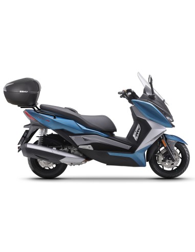 TOP MASTER ARIIC CHINF 318