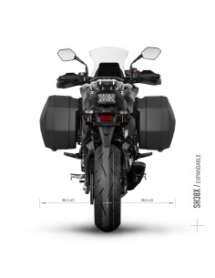 3P SYSTEM SUZUKI GSX-S1000GX 2