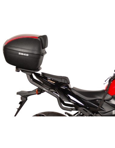 TOP MASTER SUZUKI GSR 750