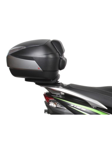 TOP MASTER KAWASAKI J300i