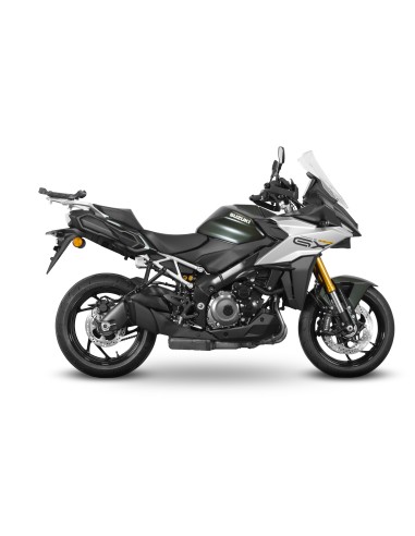 TOP MASTER SUZUKI GSX-S1000GX