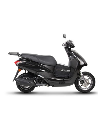 TOP MASTER YAMAHA DELIGHT 125