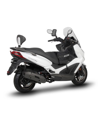 KIT RESPALDO KYMCO GRAND DINK 125/300ABS