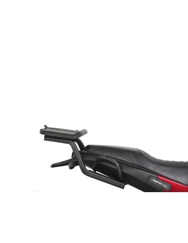 TOP MASTER BENELLI LEONCINO 502