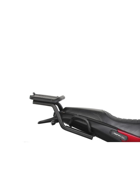 TOP MASTER BENELLI LEONCINO 502