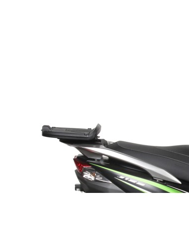 TOP MASTER KAWASAKI J300i