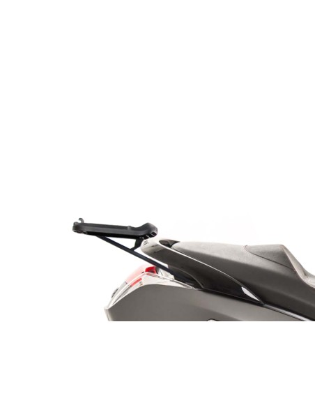 TOP MASTER PEUGEOT CITY STAR 125i/200i