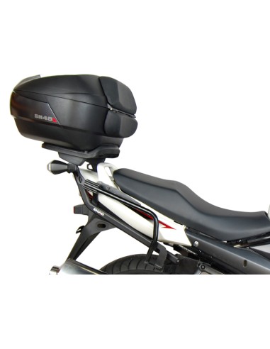 3P SYSTEM SUZUKI BANDIT 650/1250