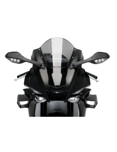 ALERON FRONTAL GP YAMAHA YZF-R1 20' C/AZUL