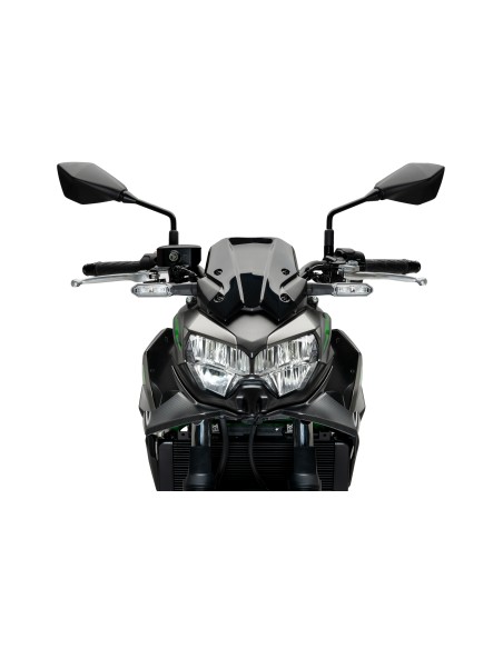 ALERON FRONTAL NAKED KAWASAKI Z650 20'-22' 