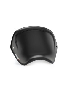 PLACA FRONTAL ABS HARLEY DAVIDSON SPORTSTER IRON