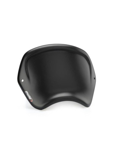 PLACA FRONTAL ABS HARLEY DAVIDSON SPORTSTER IRON