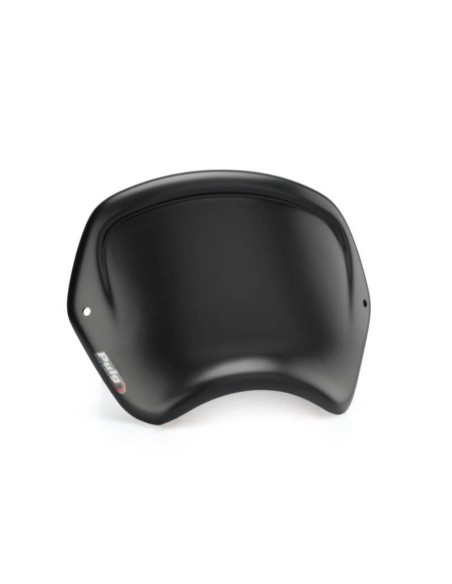 PLACA FRONTAL ABS HARLEY DAVIDSON SPORTSTER IRON