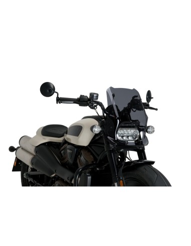 CBRIS NEW GENERATION SPORT HARLEY DAVIDSON SPORTST