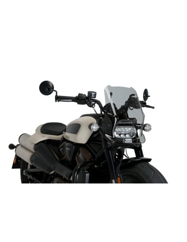 CBRIS NEW GENERATION SPORT HARLEY DAVIDSON SPORTST