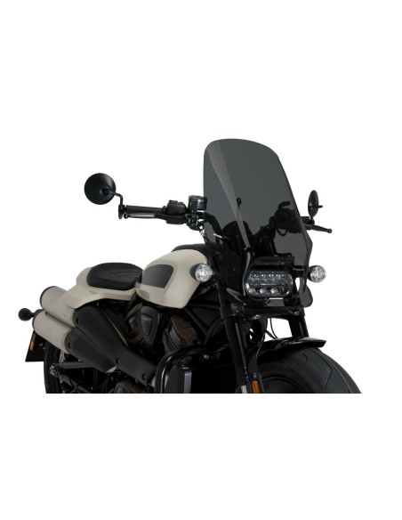 CBRIS NEW GENERATION TOURING HARLEY DAVIDSON SPORT