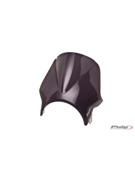 CBRIS.MODELO WINDY KAWASAKI Z900RS 18'- C/AZUL