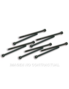 Tornillos Fijación Pinzas Variador Malossi Competición 