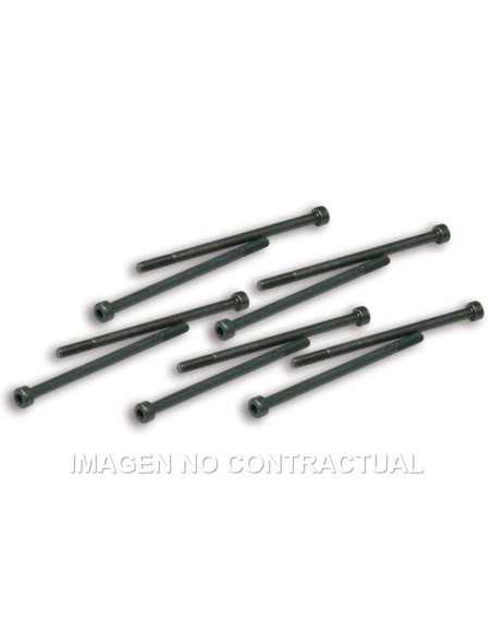 Tornillos Fijación Pinzas Variador Malossi Competición 