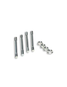 ESPARRAGOS MALOSSI CILINDRO TESTA ROSSA D 94 