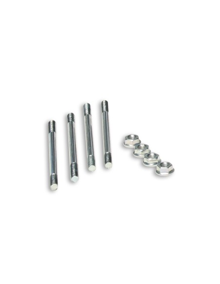 ESPARRAGOS MALOSSI CILINDRO TESTA ROSSA D 94 