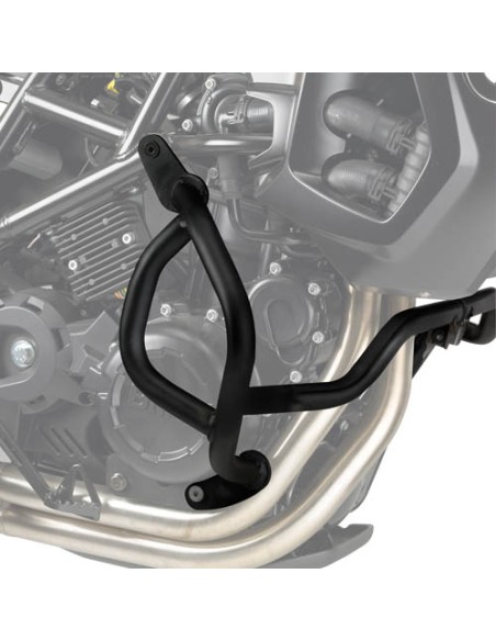 DEFENSAS MOTOR BMW FGS 650-700-800 0813