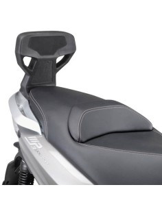 RESPALDO PIAGGIO YOURBAN 125-300/HPE 11/19