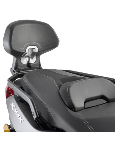 RESPALDO HONDA PCX 125-1501421/1418