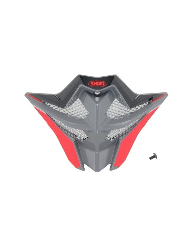 RECAMBIO SHOEI MORRERA VFX-WR ALLEGIANT TC1