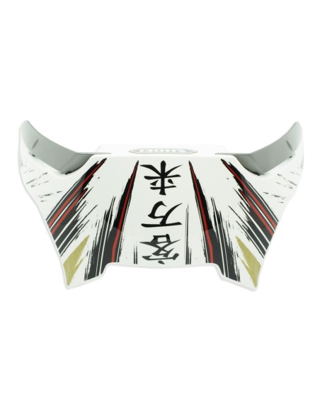RECAMBIO SHOEI SPOILER POSTERIOR X-SPIRIT 3 MARQUEZ MOTEGI2 TC1