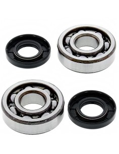 Kit de rodamientos cigüeñal All Balls 24-1006