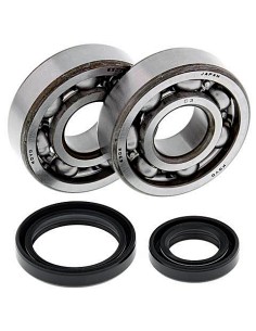 Kit de rodamientos cigüeñal All Balls 24-1014