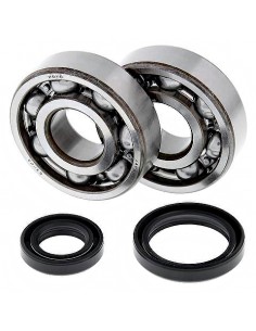 Kit de rodamientos cigüeñal All Balls 24-1016