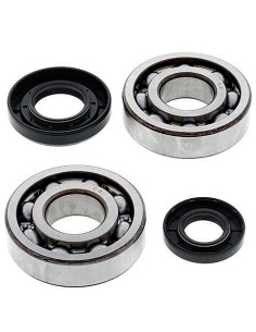 Kit de rodamientos cigüeñal All Balls 24-1029