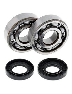 Kit de rodamientos cigüeñal All Balls 24-1062