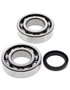 Kit de rodamientos cigüeñal All Balls 24-1081