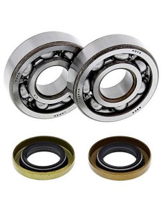 Kit de rodamientos cigüeñal All Balls 24-1102