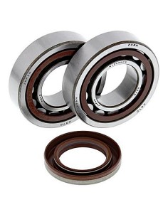 Kit de rodamientos cigüeñal All Balls 24-1106