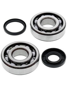Kit de rodamientos cigüeñal All Balls 24-1107