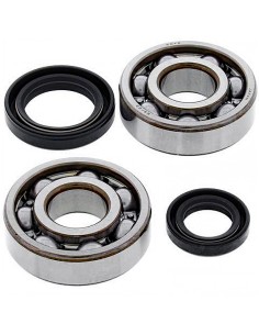 Kit de rodamientos cigüeñal All Balls 24-1109